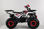 Quad hunter 125 2024 - Foto 2