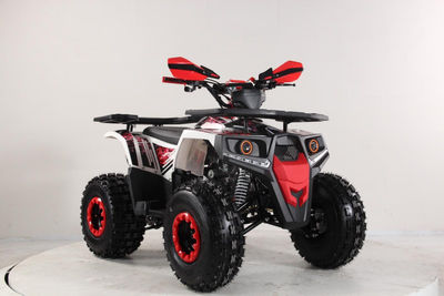 Quad hunter 125 2024 - Foto 3