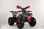 Quad hunter 125 2024 - Foto 3