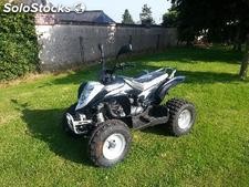 quad Viper e-ton 160 str