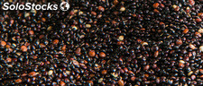 Quinoa negra