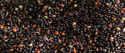 Quinoa negra