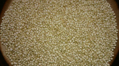 Quinoa Real Blanca Orgánica