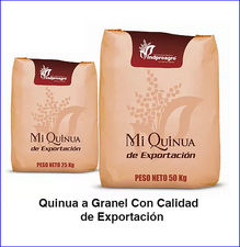 Quinua gold para exportación desde Ecuador