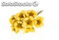 Ramillete con 8 flores decoracion 2.5 cm amarillo