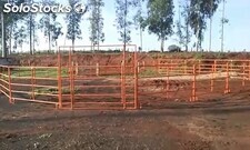 ranch sorting, porteiras e redondel para doma de cavalos