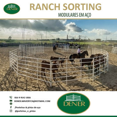 ranch sorting, porteiras e redondel para doma de cavalos - Foto 2