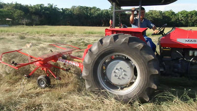 Rastrillo esparcidor / tedder eta v-310 - Foto 4