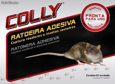 Ratoeira Adesiva Colly Química