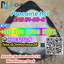 Ready to Ship CAS 51-05-8 Procaine hydrochloride Threema: Y8F3Z5CH