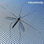 Rede Anti-Mosquitos Adesiva Recortável para Janelas InnovaGoods - 2