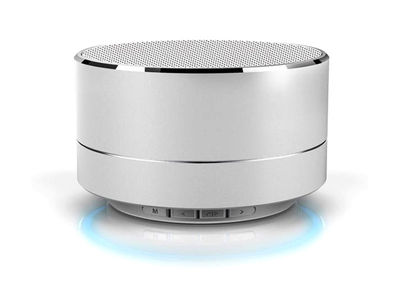 Reekin Marlin Speaker with Bluetooth Speakerphone (Silver)
