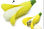 Regalos memorias USB banana 16G pendrives banana baratos memoria USB plátano - Foto 4