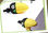 Regalos pendrive silicona Toucan 8G animados memorias USB silicona promocional - Foto 3