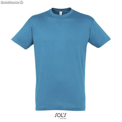 Regent uni t-shirt 150g Aqua l MIS11380-aq-l