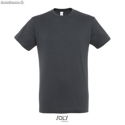 Regent uni t-shirt 150g gris souris xs MIS11380-mu-xs