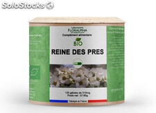 Reine des près BIO 120 gélules