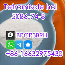 Reliable Tetramisole hydrochloride CAS 5086-74-8 Vendor