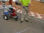Reparacion grietas en asfalto - Foto 2