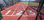 Revêtement de sol Tartan pour piste d&amp;#39;athlétisme - 1