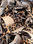 Ritagli pelle cavallino leopardato - Foto 2