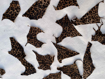 Ritagli pelle cavallino leopardato - Foto 5