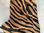 Ritagli pelle cavallino zebrato - Foto 3