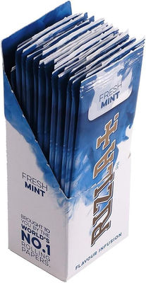 Rizla Flavour Infusions Fresh Mint Cards 25 confezioni (scatola completa) - Foto 2