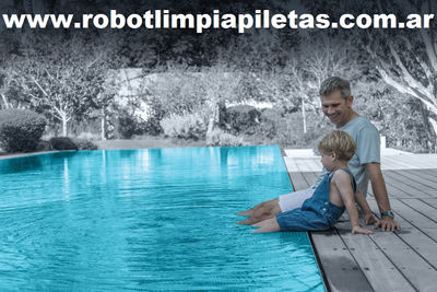 Robot Limpia Piletas Dolphin S200 - Foto 5