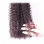 Rosa Cheveux Produits Brésilien Crépus Bouclés Vierge Cheveux - Photo 2