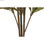 Roślina Dekoracyjna DKD Home Decor Brązowy Polietylen Kolor Zielony 50 x 50 x 14 - 3