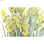 Roślina Dekoracyjna DKD Home Decor Porcelana Różowy Polietylen Żółty 20 x 20 x 6 - 3