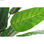 Roślina Dekoracyjna DKD Home Decor PVC Plastikowy 100 x 100 x 145 cm - 3