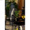 Roślina Dekoracyjna DKD Home Decor PVC polipropylen 25 x 25 x 30 cm - 4