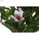 Roślina Dekoracyjna DKD Home Decor Różowy Kolor Zielony PE (60 x 60 x 125 cm) - 2