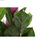 Roślina Dekoracyjna DKD Home Decor Różowy Kolor Zielony PE (60 x 60 x 125 cm) - 3