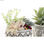 Roślina Dekoracyjna DKD Home Decor Żywica Polietylen Kaktus 12 x 12 x 18 cm (2 S - 2