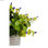 Roślina Dekoracyjna Liliowy Kvety Szary Fioletowy Kolor Zielony Plastikowy - 2