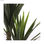 Roślina Dekoracyjna Mica Decorations Yucca (120 x 60 cm) - 2
