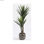Roślina Dekoracyjna Mica Decorations Yucca (120 x 60 cm) - 5
