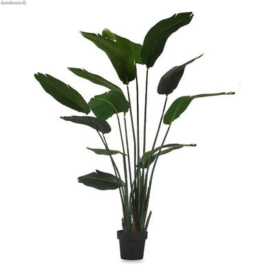 Roślina Dekoracyjna Strelicja Królewska Kolor Zielony Plastikowy (130 x 160 x 13