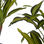 Roślina Dekoracyjna Szerokie liście Kolor Zielony Plastikowy (60 x 90 x 60 cm) - 2