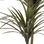 Roślina Dekoracyjna Wąskie liście Plastikowy Drut żelazny 80 x 150 x 105 cm - 2