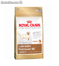 Royal Canin Labrador Retriever Adult 3.00 Kg