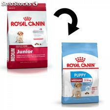 Royal Canin Medium Junior 32 10.00 Kg