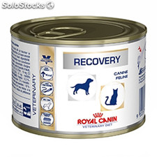 Royal Canin Vet. Diet Recovery 195 gr 195.00 Gr