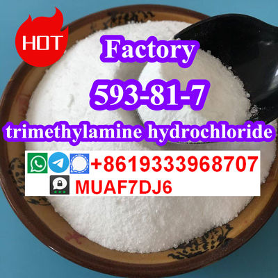 Russia hot sell trimethylamine hydrochloride CAS593-81-7 in stock
