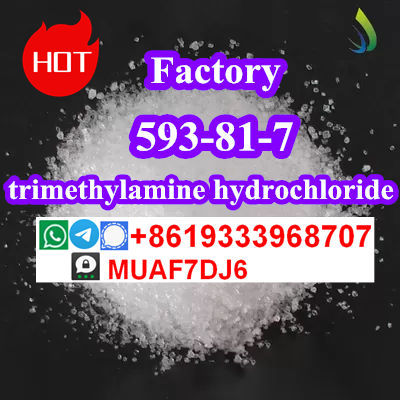 Russia hot sell trimethylamine hydrochloride CAS593-81-7 in stock - Photo 4