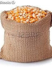 Saco de maíz de 20 kilos argentino para palomitas de maíz