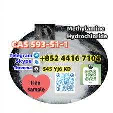 Safe Shipping Methylamine Hydrochloride CAS 593-51-1 4551-92-2 +852 4416 7104